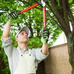 armandos-landscaping-05-500x300